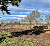 Predaj, pozemok pre rodinný dom   2184 m2 Ondrejovce... - Pozemky - bývanie v Ondrejovciach s trávnatou plochou, stromami a otvorenou oblohou.