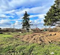 Predaj, pozemok pre rodinný dom   2184 m2 Ondrejovce... - Pozemky na bývanie v Ondrejovciach s trávnatou plochou a stromami pod modrou oblohou.