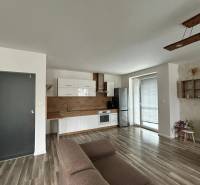 Praktický 3-izbový byt v súkromnej ulici v Šamoríne - Obývacia izba s kuchynskou linkou a podlahou s dreveným dekorom v 3-izbovom byte.