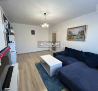 Predaj, dvojizbový byt Spišská Nová Ves, Tarča - ZNÍ... - Obývačka v 2-izbovom byte s podlahou s dreveným dekorom a rozkladacou pohovkou.