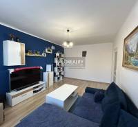 Predaj, dvojizbový byt Spišská Nová Ves, Tarča - ZNÍ... - Svetlá obývačka v 2-izbovom byte, modrá stena, sedačka, TV a podlaha s dreveným dekorom.