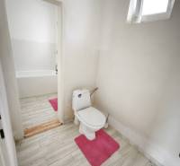 Rodinný dom - Lúčnica nad Žitavou  - Kúpeľňa v rodinnom dome s toaletou, vaňou a podlahou s dreveným dekorom.