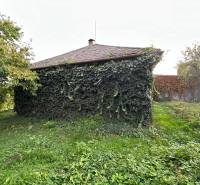 RODINNÝ DOM - CHALUPA, KALŠA - Rodinný dom v Kalši porastený hustým brečtanom a obklopený zeleňou.