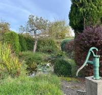 RODINNÝ DOM - CHALUPA, KALŠA - Záhrada rodinného domu v Kalši so starou pumpou a veľkým množstvom zelene.