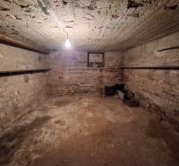 Predaj rodinného domu s pozemkom v  lukratívnej časti mesta Bratislava - Pivnica z neomietnutými tehlovými stenami a betónovým stropom v rodinnom dome.