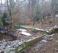 Predaj rodinného domu s pozemkom v  lukratívnej časti mesta Bratislava - Záhrada pri rodinnom dome na Búdkovej v Bratislave - Staré Mesto, s rozbitým plotom a stromami.