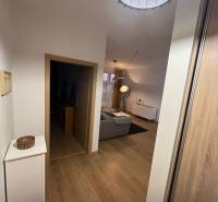 PRENÁJOM - Moderný 2 izbový byt, Galanta-GALA Residence - Chodba v 2-izbovom byte s podlahou s dreveným dekorom, vedúca do obývačky.