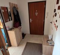 Na prenájom zariadený 3 izbový byt s balkónom Galanta- SNP - Chodba v 3-izbovom byte so svetlým nábytkom a hnedými doplnkami.