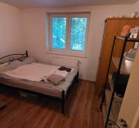 Na prenájom 3 izbový byt z balkónom a parkovacím miestom - Spálňa v 3-izbovom byte s kovovou posteľou a podlahou s dreveným dekorom.