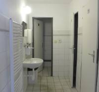 Sklad na prenájom o ploche 288 m2-438 m2 + kancelárie a vzorkovňa - Biela kúpeľňa s umývadlom, radiátorom a invalidným WC v Sklady a haly.