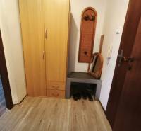 PREDAJ: 1i byt 30m2 - BAURING - FONČORDA - Orenburská ul. - Predsieň 1-izbového bytu s policou, zrkadlom, skriňou a podlahou s dreveným dekorom.