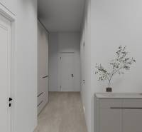 NOVOSTAVBA  ATRAKTÍVNY 4 I RODINNÝ DOM,650m2 pozemok - Chodba v rodinnom dome s podlahou s dreveným dekorom a jednoduchým nábytkom.