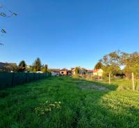 NOVOSTAVBA  ATRAKTÍVNY 4 I RODINNÝ DOM,650m2 pozemok - Pozemok s trávnatým porastom a oplotením v Cíferi pri rodinných domoch.