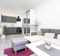 Prenájom, dvojizbový byt Považská Bystrica, Lánska -... - Obývacia izba v 2-izbovom byte s kuchynskou linkou a podlahou s dreveným dekorom.