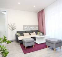 Prenájom, dvojizbový byt Považská Bystrica, Lánska -... - Obývačka v 2-izbovom byte s pohovkou, konferenčným stolíkom a rastlinami.