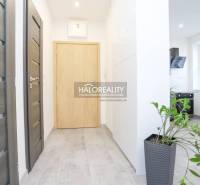 Prenájom, dvojizbový byt Považská Bystrica, Lánska -... - Chodba v 2-izbovom byte s dlažbou, drevenými dverami a rastlinou v kvetináči.