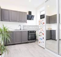 Prenájom, dvojizbový byt Považská Bystrica, Lánska -... - Kuchyňa v 2-izbovom byte s bielymi stenami, šedými skrinkami a rastlinou.