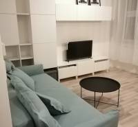 ŠIKOVNÁ GARSÓNKA na PRENÁJOM v CENTRE MESTA na BEZRUČOVEJ ul. - Garsónka so sivou sedačkou, televízorom, bielym nábytkom a podlahou s dreveným dekorom.