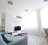 ŠIKOVNÁ GARSÓNKA na PRENÁJOM v CENTRE MESTA na BEZRUČOVEJ ul. - Obývacia časť garsónky s pohovkou, televíziou a podlahou s dreveným dekorom.