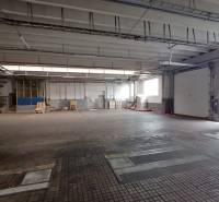 Hala na prenájom  Martin, s dobrým napojením na diaľnicu - Priestor pre sklady a haly s podlahou v dekorom, vybavený veľkými vstupnými vrátmi.