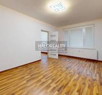 Predaj, jednoizbový byt Lučenec - EXKLUZÍVNE HALO RE... - Priestranná izba s podlahou s dreveným dekorom v 1-izbovom byte.