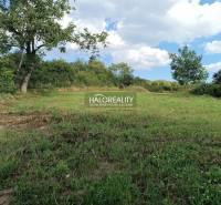 Predaj, pozemok pre rodinný dom   2351 m2 Čerhov, 1 ... - Pozemok na bývanie v Čerhove obklopený zeleňou a modrou oblohou.