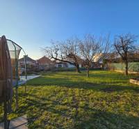 Rodinný dom s pozemkom 860 m2 - Záhrada pri rodinnom dome na Slnečnej ulici v Novom Meste nad Váhom, so stromami a trampolínou.