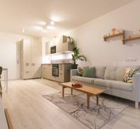 Slnečný 1,5i byt s loggiou a parkovaním - Obývacia izba v 1-izbovom byte s pohovkou, kuchynskou linkou a podlahou s dreveným dekorom.