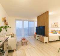 Slnečný 1,5i byt s loggiou a parkovaním - Interiér 1-izbového bytu s podlahou s dreveným dekorom a útulným sedením.