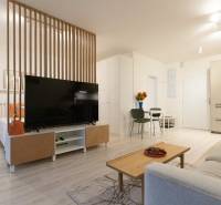 Slnečný 1,5i byt s loggiou a parkovaním - Svetlá obývačka v 1-izbovom byte s drevenou zástenou a TV, podlaha s dreveným dekorom.