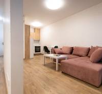 Zariadený 2i byt s lodžiou v rezidencii Pri Mýte - Obývacia izba v 2-izbovom byte s pohodlnou sedačkou a podlahou s dreveným dekorom.