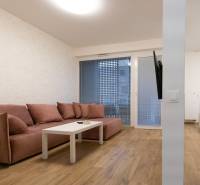 Zariadený 2i byt s lodžiou v rezidencii Pri Mýte - 2-izbový byt s podlahou s dreveným dekorom, pohovkou a televízorom na stene.