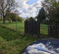 Predaj krásny pozemok pri Malej Domaši - Pozemky - bývanie na ulici Malá Domaša vo Vranove nad Topľou, oplotená zelená plocha so stromami.