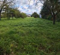 Predaj krásny pozemok pri Malej Domaši - Zeleň a stromy na pozemku na bývanie pri ulici Malá Domaša, Vranov nad Topľou.