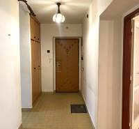 REZERVOVANÉ - Veľký 2-izbový byt s loggiou v centre Martina - Chodba v 2-izbovom byte s dlažbou a vstavanými skriňami.