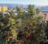 Na predaj 3izbový byt Tranovského , Dúbravka - Veža s panelákmi a stromami v Bratislave - Dúbravke na Tranovského, neďaleko 3-izbových bytov.