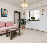 Predaj, rodinný dom Beša - Svetlá obývacia izba v rodinnom dome so sivou sedačkou a zelenými rastlinami.