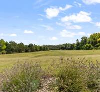 Exkluzívna honosná kúria | 3 ha pozemok | Dunakiliti - HU - Rozľahlá zelená lúka obklopená stromami v Dunakiliti vhodná pre Zvláštne nehnuteľnosti.