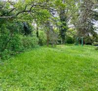 Prenájom 3 izbového bezbariérového bytu, Vetvová ulica, Bratislava - Záhrada so stromami na Vetvovej ulici v Bratislave - Starom Meste, 3-izbový byt.