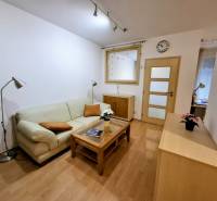 SLNEČNÝ KOMPLETNE ZARIADENÝ 2 IZB. BYT PRI ŠTRKOVECKOM JAZERE.  - Obývacia izba v 2-izbovom byte s pohovkou, lampou a podlahou s dreveným dekorom.