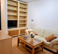 SLNEČNÝ KOMPLETNE ZARIADENÝ 2 IZB. BYT PRI ŠTRKOVECKOM JAZERE.  - Obývacia izba v 2-izbovom byte s koženou sedačkou a vstavanou policou.