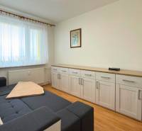 3-izbový zariadený byt, 78 m2, zasklenná loggia, Považská ul., Nitra - Izba s pohovkou, nábytkom a podlahou s dreveným dekorom v 3-izbovom byte.