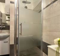 3-izbový zariadený byt, 78 m2, zasklenná loggia, Považská ul., Nitra - Sprchový kút s modernými obkladačkami a umývadlom v 3-izbovom byte.