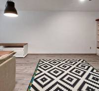 Predaj 3-izb bytu 75 m2 + garáž 18 m2, Trenčín - Pred poľom - Obývacia izba v 3-izbovom byte s podlahou s dreveným dekorom a vzorovaným kobercom.