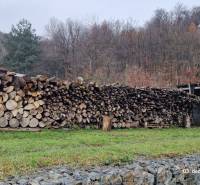Nový rodinný dom, 7 minút od centra Košíc v tichej uličke pod lesom - Záhrada pri rodinnom dome v Sokoli na Kopaninovej ulici s uskladneným drevom a okolím lesa.