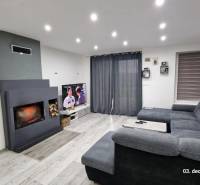 Nový rodinný dom, 7 minút od centra Košíc v tichej uličke pod lesom - Obývačka v rodinnom dome s krbom, šedou sedačkou a televízorom, podlaha s dreveným dekorom.