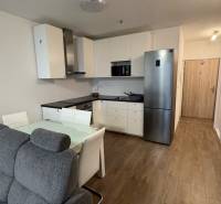 Predaj 1ibyt (garsonka) v uzavretom areáli v DNV (novostavba) - Obývacia izba s kuchyňou, sedačkou a podlahou s dreveným dekorom v 1-izbovom byte.