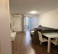 Predaj 1ibyt (garsonka) v uzavretom areáli v DNV (novostavba) - Obývacia izba v 1-izbovom byte s podlahou s dreveným dekorom, sivou sedačkou a jedálenským stolom.