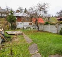 Predaj, rodinný dom Brvnište - EXKLUZÍVNE HALO REALITY - Záhrada pri rodinnom dome v Brvništi s trávnikom, stromom a drevenou kôlňou.