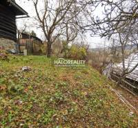 Predaj, rodinný dom Brvnište - EXKLUZÍVNE HALO REALITY - Záhrada pri rodinnom dome v Brvništi s trávnatým porastom a ovocnými stromami.